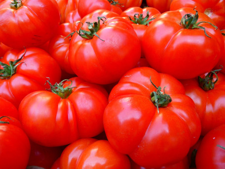 Tomates Fraîches