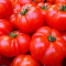 Tomates Fraîches