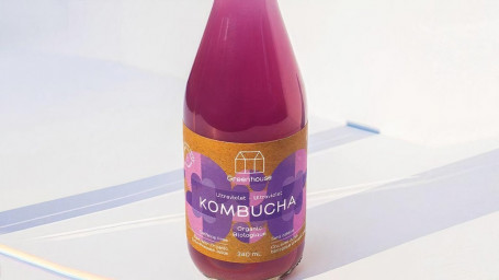 Ultra Violet Kombucha