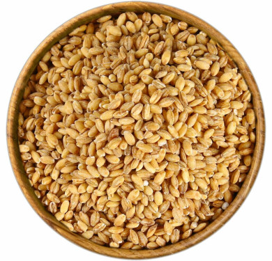 Orzo