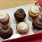 Madagascar Vanilla Bean Chocolate Truffle Cupcakes (3/3)