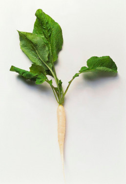 Parsnip 500Gm