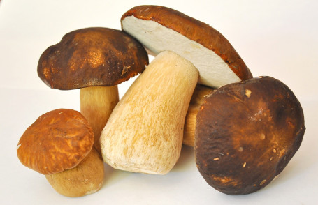 Champignons Porcini