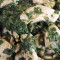 Poulet Saag