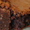 Brownie Aux Noix Et Au Fudge