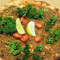 Ground Beef Delight (Lahmacun)