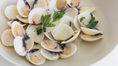 White Clam(1 Lb