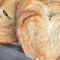 Palmier – Elephant Ears