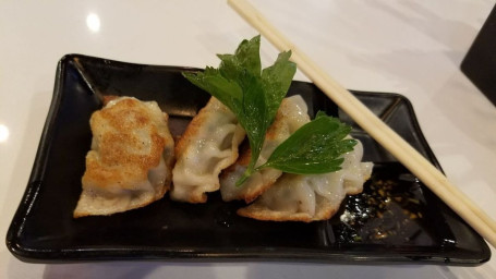 Handmade Pork Gyoza