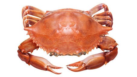 M1. Blue Crab