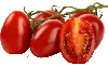 Tomates de Rome