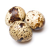 œufs de quail