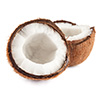 Viande de noix de coco