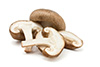 Capuchons à champignons de shiitake