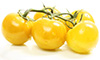 Tomates de cerise jaune
