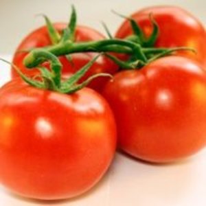 Tomates cerises ou tomates raisin