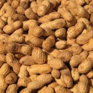 Cacahuètes salées