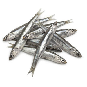 Frais sardines