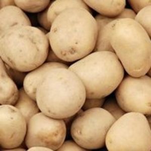 Nouvelles pommes de terre