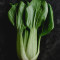 Bok Choy