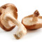 Champignons Shiitake