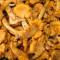 Girolles