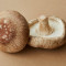 Champignons Portabello